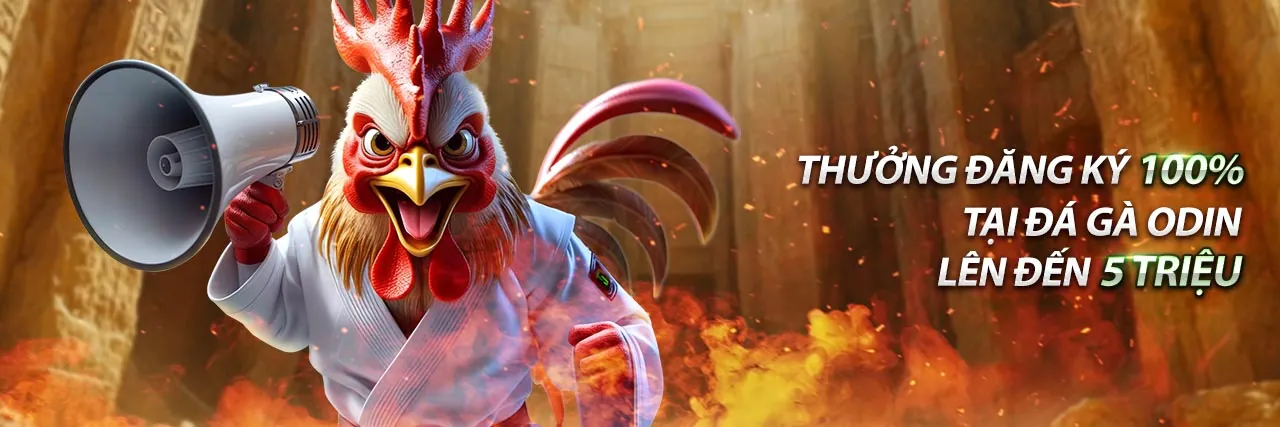 Hướng dẫn chơi bắn cá cho người mới tại EV88